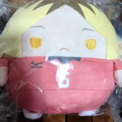 ハイキュー ぬいくじ くじメイト C賞 孤爪研磨