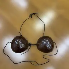 Item thumbnail for item 06086177-0644-4157-bade-7e53a84a568d