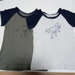 恐竜デザイン Tシャツ 2枚セット