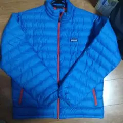 【廃盤カラー！美品】Patagonia ダウンセーター Мサイズ ブルー