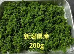 2025年最新】花山椒の人気アイテム - メルカリ