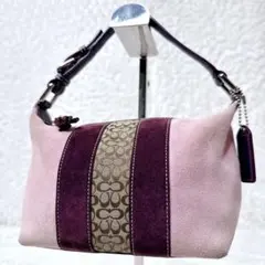 coach y2k pouch handbagアクセサリーポーチ✨赤 紫スエード - メルカリ