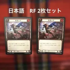 2025年最新】flesh and bloodの人気アイテム - メルカリ