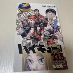 ハイキュー‼︎ 33.5巻　音駒番外編‼︎
