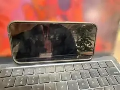 Item thumbnail for item a5d591da-415d-422b-8749-d361db3a044c