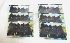 6年生 カード セット