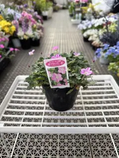 みみりん様 リクエスト 2点 まとめ商品