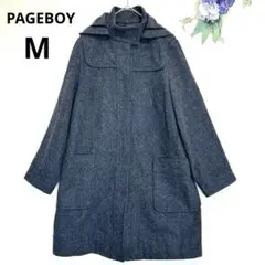 Item thumbnail for item f0443bf3-6cf0-4d90-82b0-041553865c6d