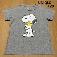 Tシャツ　ユニクロ　スヌーピー　120