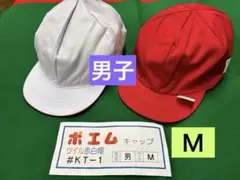 Item thumbnail for item 0f163174-b5c9-44d3-9f8d-a41e567cc02d