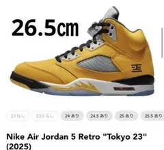 Nike Air Jordan 5 Retro 