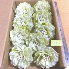 ソラフラワー　2292