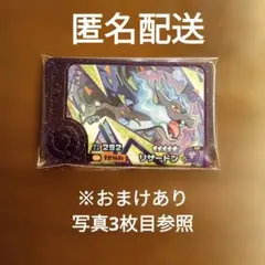 ポケモンフレンダベストタッグ3弾スーパートレジャーピック　リザードン