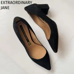 EXTRAORDINARY JANE スエード ポインテッドトゥ パンプス 35のサムネイル
