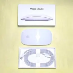 Magic Mouse MK2E3J/A 編込USB-C cable 在中