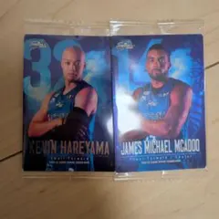 Item thumbnail for item 179dcb59-57d8-4865-ad98-431ac4b6d36c