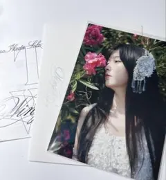 乃木坂46 池田瑛紗 入場特典 ポストカード ミニパンフ あひるの夢 個展