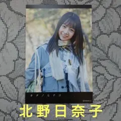 北野日奈子 生写真 Happy New Year!2018 3種コンプ 乃木坂 - メルカリ
