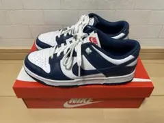 NIKE ダンクロー　バレリアンブルー