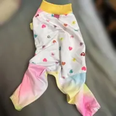 VERY 犬服 つなぎ ハート柄 パステルカラーのサムネイル