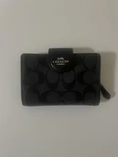 Item thumbnail for item e6ced342-5e51-429b-926f-8a38a97ea4a3