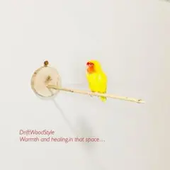 Item thumbnail for item d2a30418-40ef-458d-a76b-6edbd35d46e6