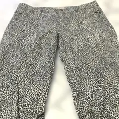 Item thumbnail for item 5e107a7b-f55f-43e1-b778-7865ef008dab