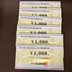 ビックカメラ 株主優待券 6000円分