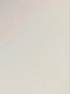 専用