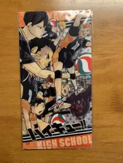 ハイキュー　チケットフォルダー　烏野VS音駒