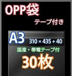 Item thumbnail for item 0cb18cd9-0027-4d72-9d80-a56c4d6d1a26