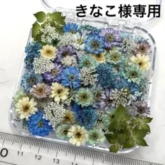 ドライフラワー 小花 466 マトリカリア(小さめ) ドライフラワー 小花 465 マトリカリア (小さめ) - メルカリ