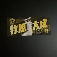 福岡ソフトバンクホークス　牧原大成選手　2024年パ・リーグ優勝記念ステッカー