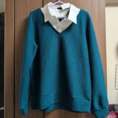 Item thumbnail for item 3dcb4df1-70f2-4a80-a30c-85ed5a67d03f