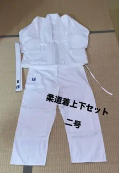 Item thumbnail for item a0d89379-8c16-4821-bb69-ff34312036cf