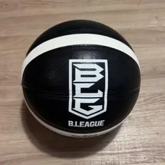 molten B.LEAGUE バスケットボール 7号球 B7B3500-KW