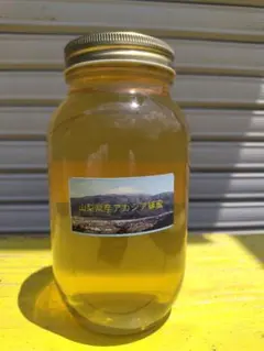 山梨県産　アカシア蜂蜜　1200g（ビン）　1本入り　2025年5月採りのサムネイル