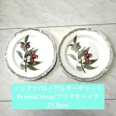 未使用Noritake プリマチャイナ ロイヤルオーチャード大皿＆5脚セット 2026年最新】ノリタケ プリマチャイナの人気アイテム - メルカリ