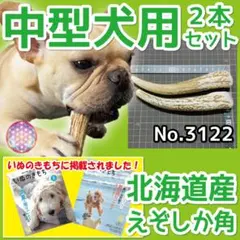 中型犬用 エゾ鹿の角 2本セット 北海道産 蝦夷鹿 犬のおもちゃ 31226のサムネイル
