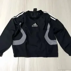 Item thumbnail for item ce969c46-4e76-4c50-b21c-a69b53db76b2