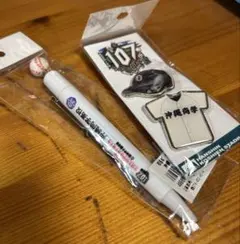 Item thumbnail for item 44762772-bbc1-462e-8779-197e6a7b950f