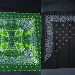 Item thumbnail for item fa809611-a99c-4c34-a043-fdb21ca18ba3