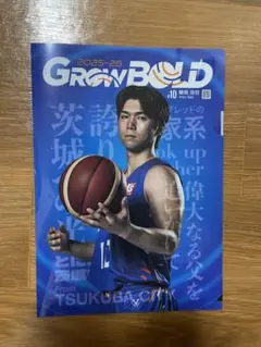 茨城ロボッツ 駒沢颯 #17 グッズ 茨城ロボッツ 駒沢颯 #17 グッズ 2025年最新】茨城ロボッツ 駒沢