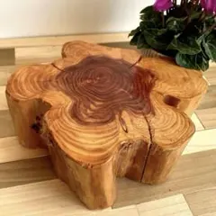 Item thumbnail for item 8f090557-ffd4-41d3-ba3b-88f181791d3d