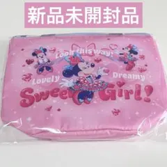 【新品】ミニーのファンダーランド　ミニーパルパルーザ　スーベニアランチケース