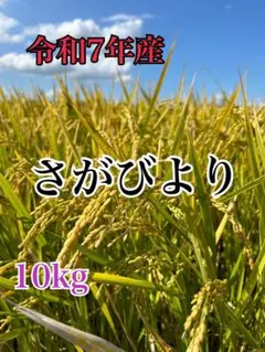 限定価格！令和7年産 さがびより 10kgのサムネイル