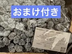 2025年最新】フジノスパイラルの人気アイテム - メルカリ