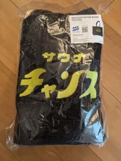 Item thumbnail for item e58d16ef-349e-4ba6-91c5-55bb445b03a6