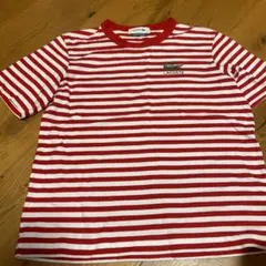 ラコステ　Tシャツ　レディース　ボーダー