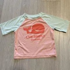 Patagonia クジラ柄Tシャツ　6-12M